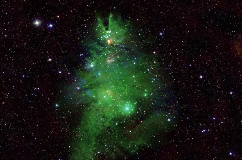 A beautiful picture depicts a cosmic “Christmas tree” that glows in space