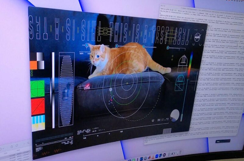 NASA sends a video of Taters the cat over 19 million miles using a laser