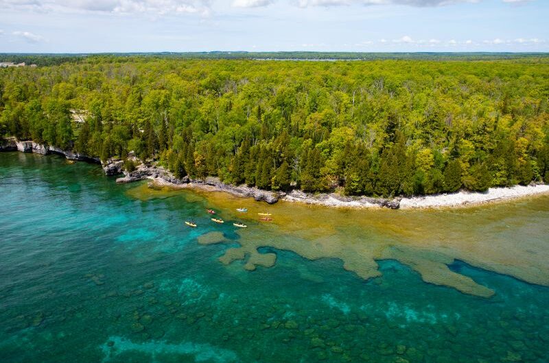 Opening in The next year is a brand-new 56-acre environmental preserve on Lake Michigan