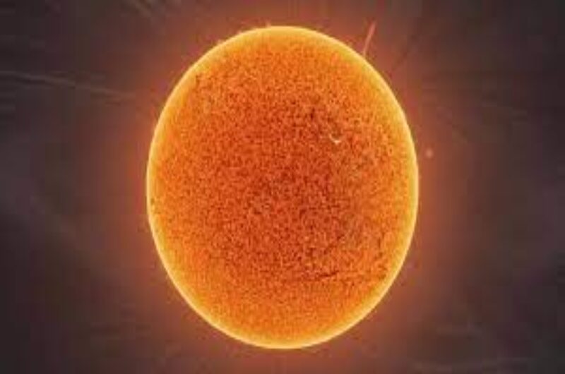 Sunshine moment: In order to study sun dynamics, ISRO places Aditya-L1 in halo orbit
