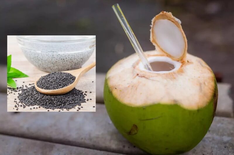 The Advantages of Mixing Sabja Seeds with Coconut Water