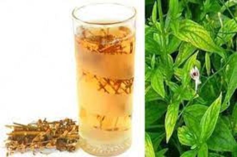 Jericho’s Bagel Boss Introduces NonKosher Menu; Other Branches