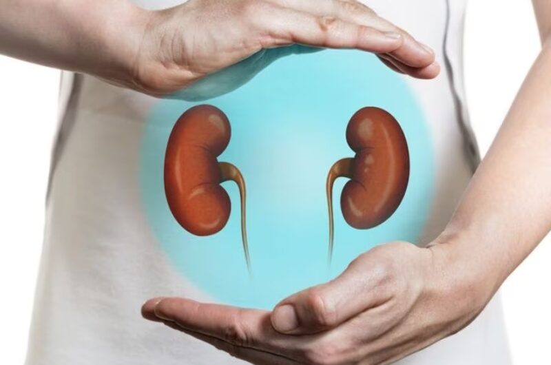 Boost Kidney Health: Try These Superfoods for World Kidney Day 2024