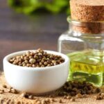 Five Strong Reasons in Favor of Hemp Seed Oil Use for General Well-Being