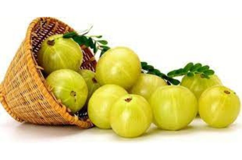 5 Reasons You Should Always Eat One Piece of Boiled Amla