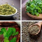 Summer Foods That You Should Eat: 5 Herbs To Stay Cool